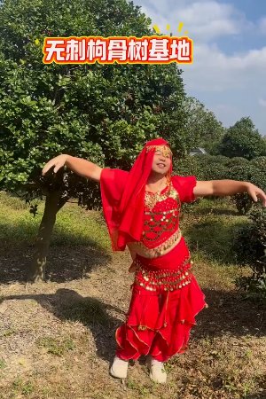 
Ủa alo? Định đi thăm vườn xem cây cối dạo này thế nào, mà ai ngờ nhạc lên đúng bài, váy áo sẵn sàng nên đành phải hóa thân thành nàng công chúa phương xa một chút. Người ta đi diễn thì có ánh đèn sân khấu, còn em/tôi đây chỉ cần ánh nắng mặt trời và hàng cây xanh là đủ để làm nên một liveshow rực rỡ nhất vùng. Mời cả nhà cùng thưởng thức điệu nhảy độc quyền này nha!
#dance #funnyvideo #bellydance #haihuoc #nangluongtichcuc #vuive #trending