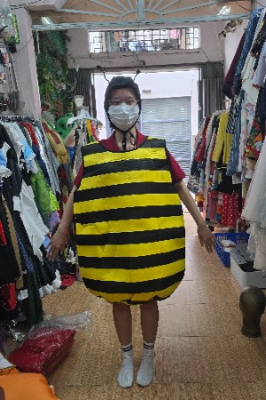 Chị ong nâu nâu